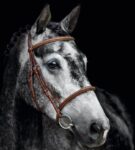 BRIGLIA SCHOCKEMOELE CON REDINI TG. FULL BROWN* Briglie 